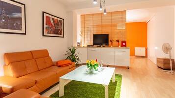 Télévision, lecteur de DVD, chaßne hi-fi