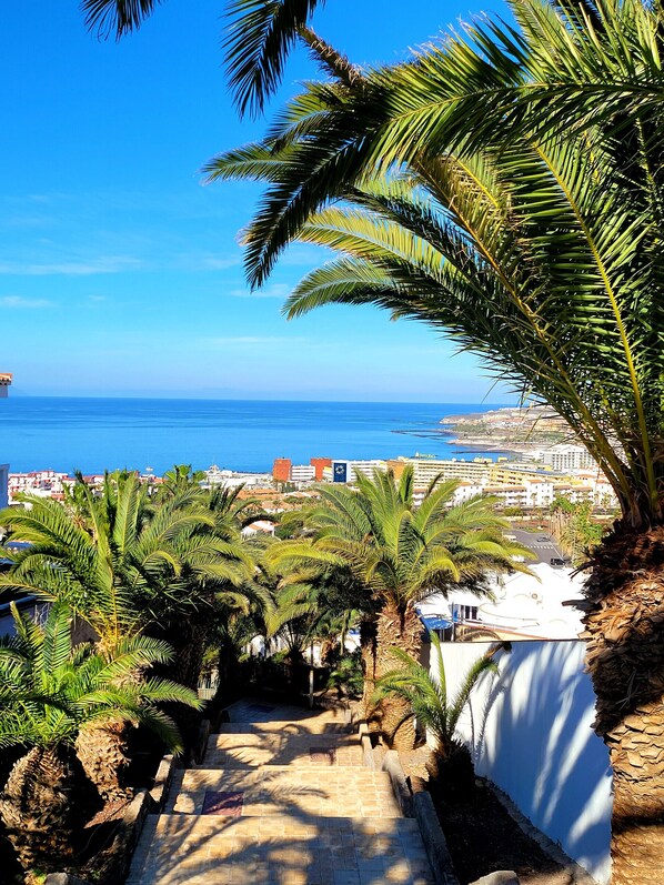 Property grounds - Ferienhaus El Musgo mit Meerblick und Pool (Costa Adeje)