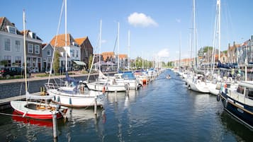 House | View from property