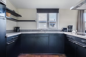 A modern kitchen with dark cabinets, a stainless steel sink, and a window above the countertop. - Chalet With Private Jetty (Giethoorn)