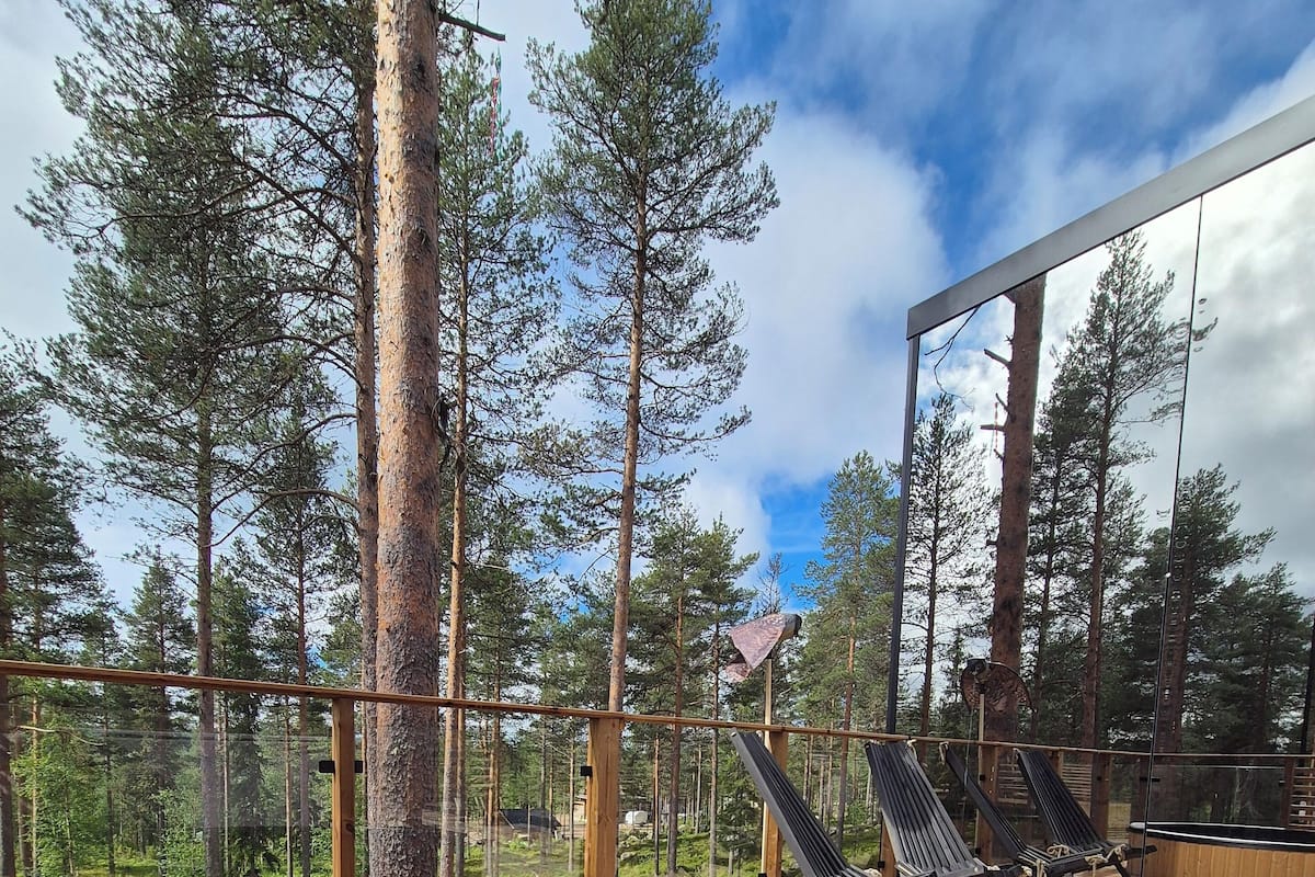 Kylpytynnyri puukannella, josta avautuu näkymä korkeisiin puihin ja kirkkaalle taivaalle.