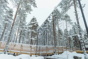 Front of property - Invisible Forest Lodge (Rovaniemi)