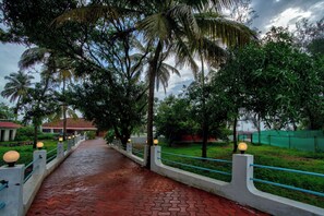 Un camino pavimentado bordeado de palmeras y una valla verde, que conduce a un edificio con techo rojo.
