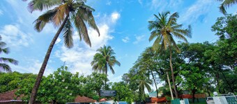 Papilio Beach Front Cottages