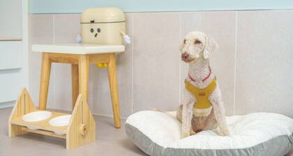 Gyeongsan Stage-ipple pet Pension