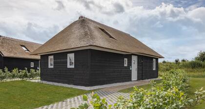 Villa in Someren Near Somerense Heide