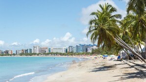 A beach with clear turquoise water, palm trees, and a city skyline in the background. - Acqua Inn Maceio Ponta Verde (Maceió)