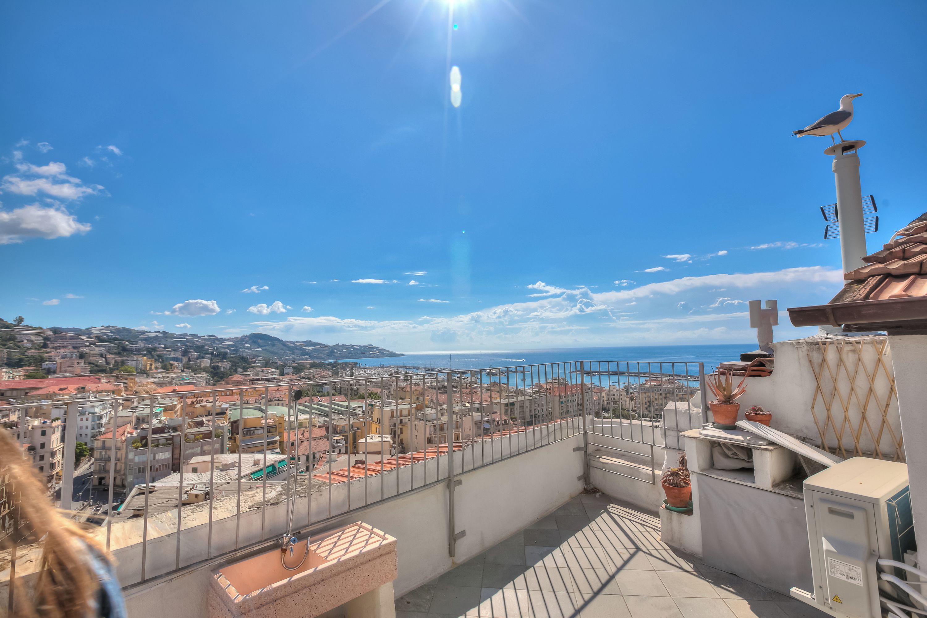 A rooftop terrace with a view of the sea, potted plants, and a seagull.
