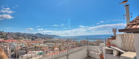 A rooftop terrace with a view of the sea, potted plants, and a seagull.