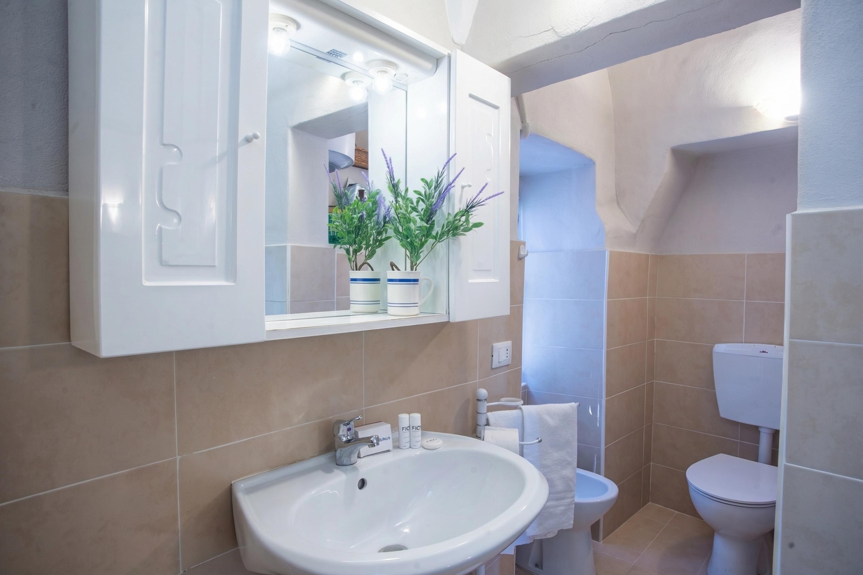 Een badkamer met een witte wastafel, spiegel en toilet. Er staan potplanten op de counter.