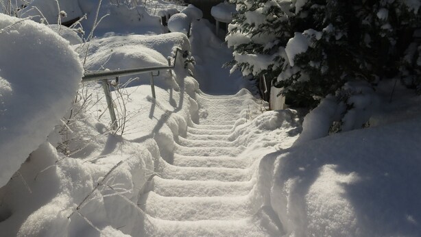 A snow-covered staircase leading up a hill, surrounded by trees and bushes. - Historic Retreat, St. Georgen (Sankt Georgen im Schwarzwald)