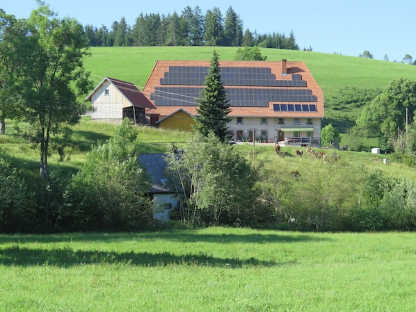 Une grande maison avec un toit rouge et des panneaux solaires, entourée d’un champ verdoyant et d’arbres.