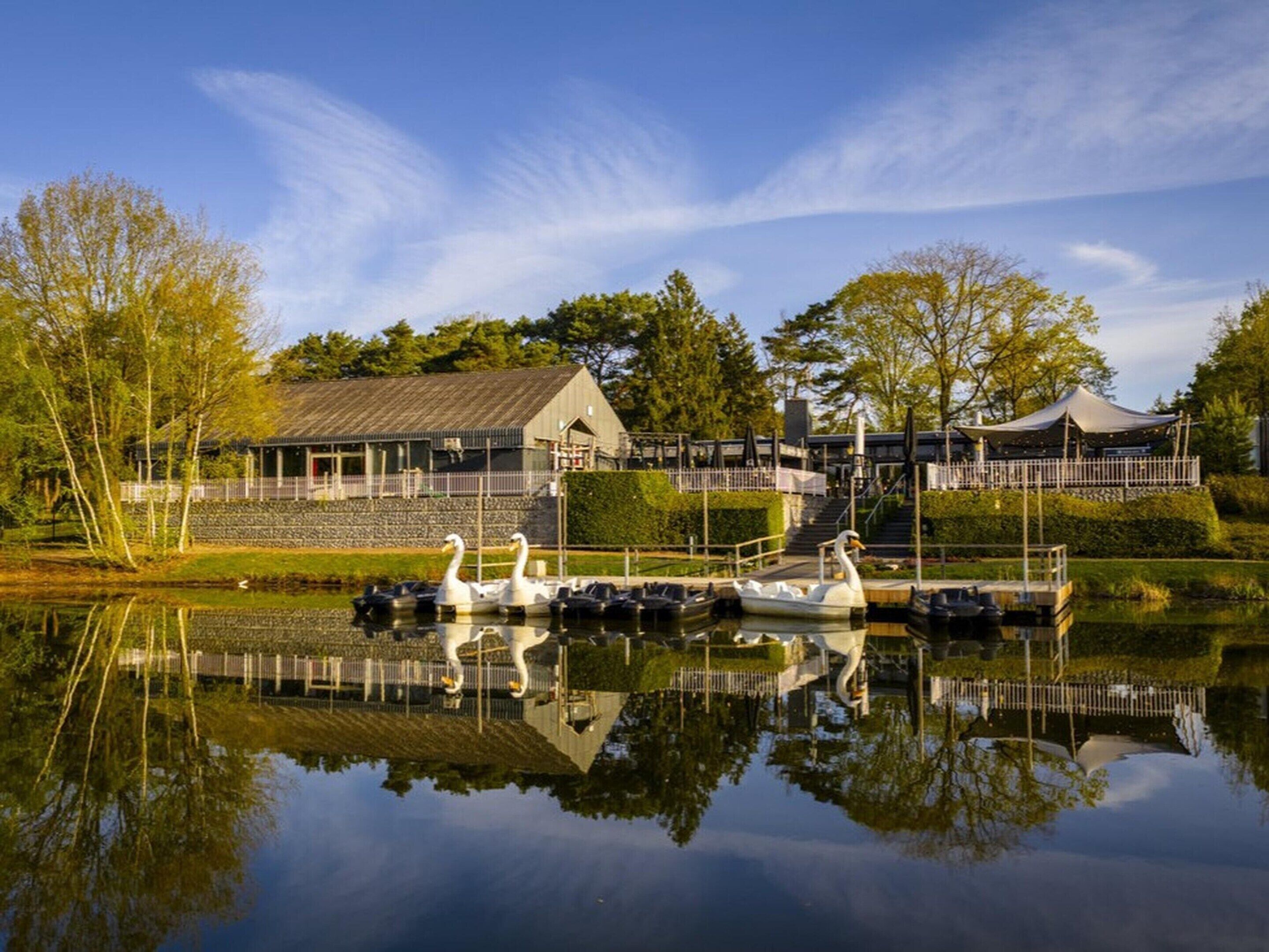 A serene lakeside setting with a dock, swans, and a building with a sloped roof.