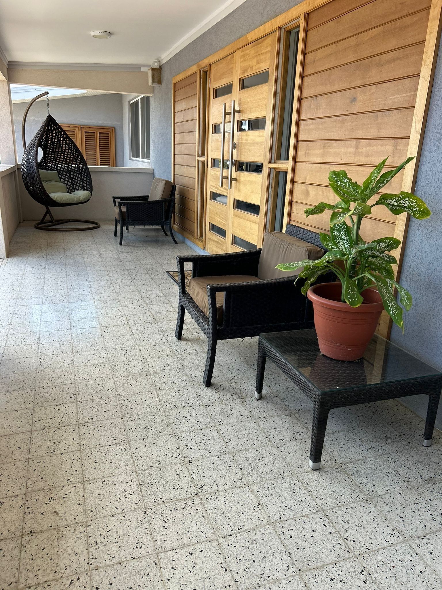 A seating area with a potted plant, a hanging chair, and a wooden partition with glass panels.
