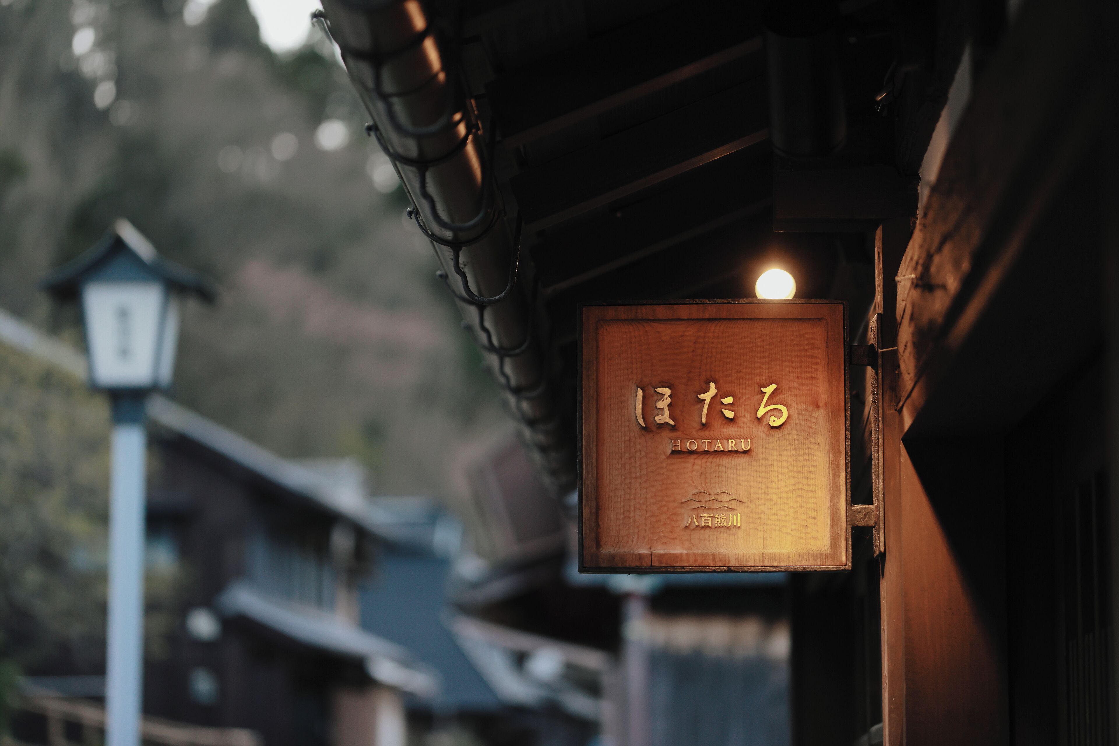 A wooden sign with Japanese characters, indicating a restaurant or establishment.