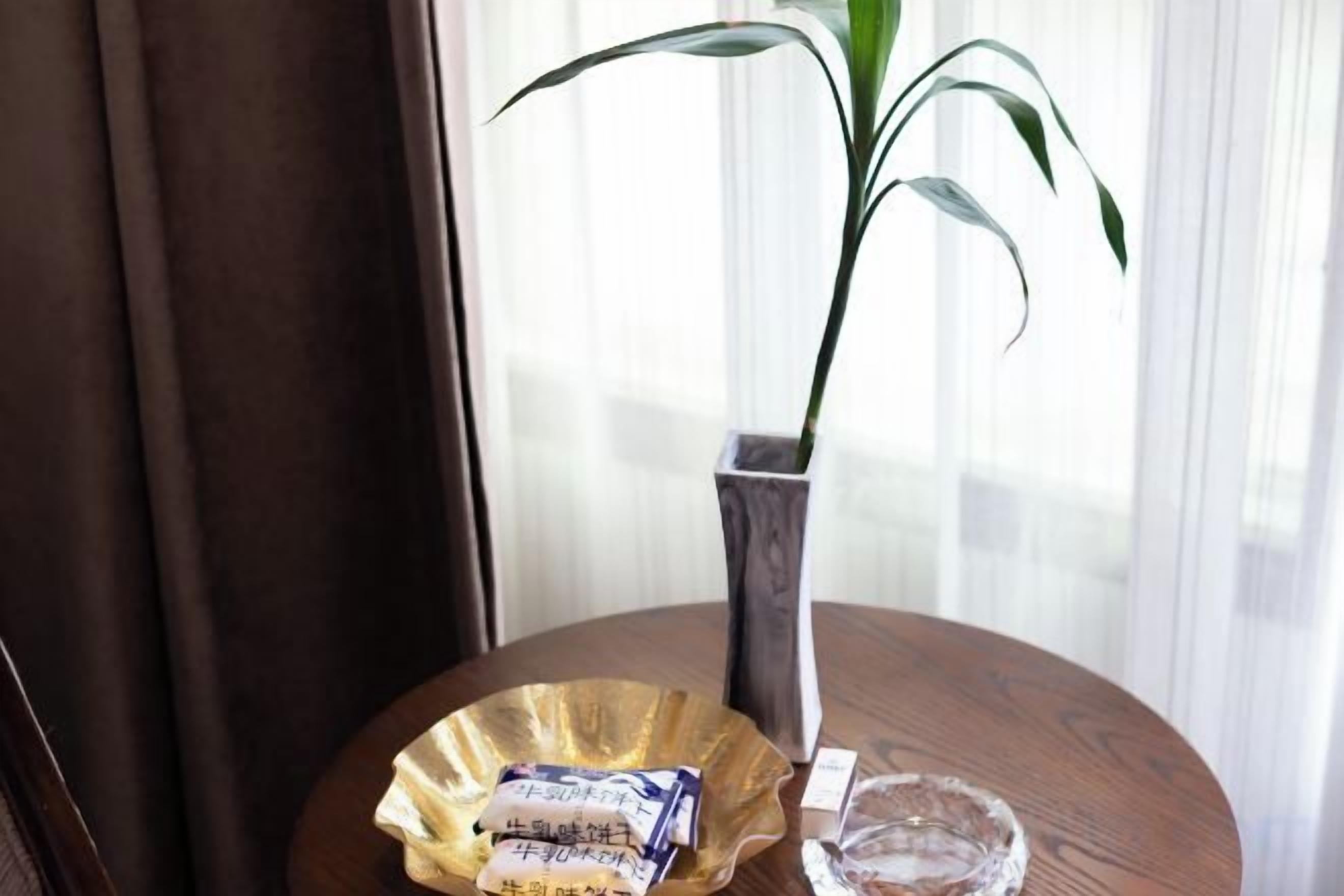 Una mesa de madera redonda con una planta en maceta, un vaso y un paquete de aperitivos.