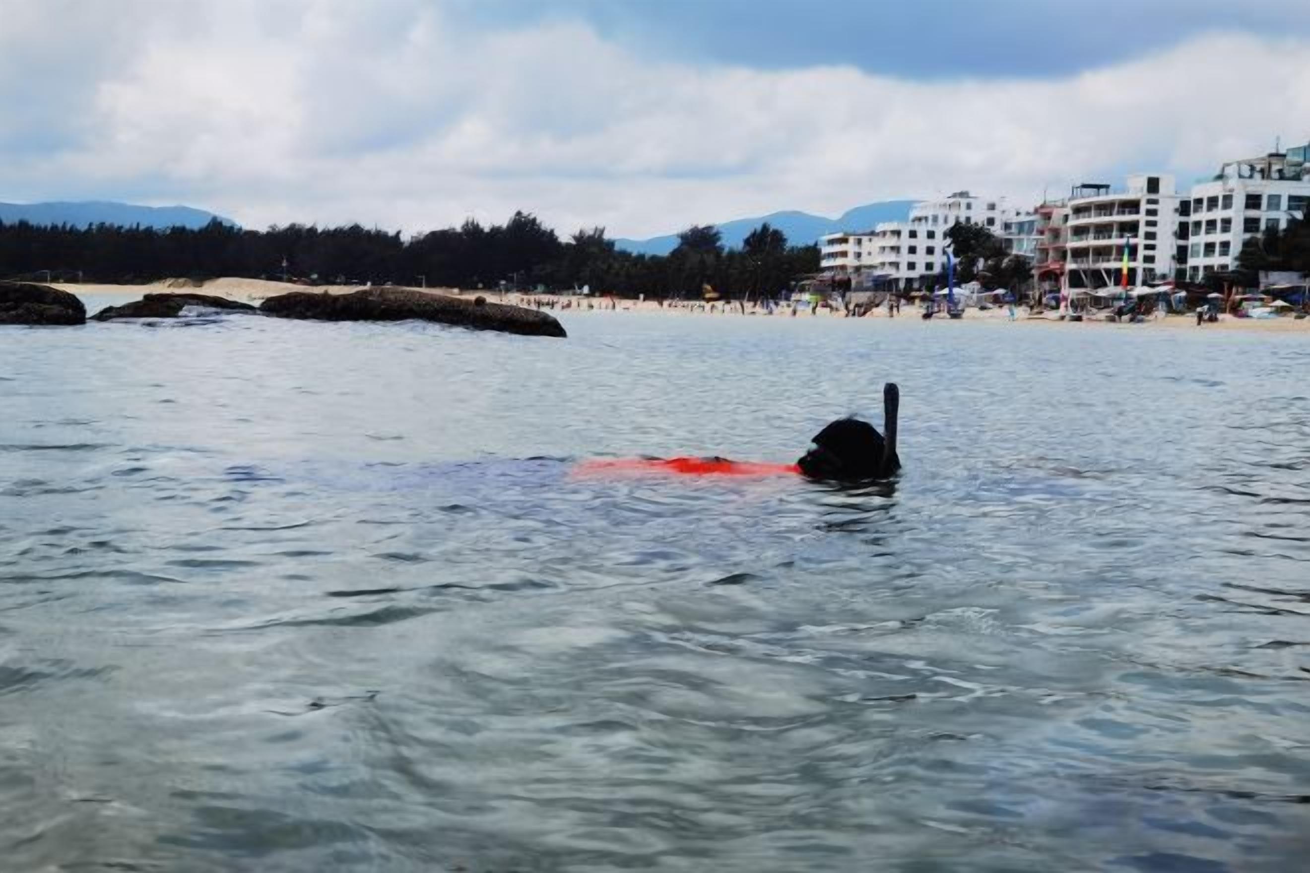 Nadador en una masa de agua con una playa y edificios al fondo.