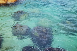 Unclassified image, 3 of 66, button - Here Nashan Nahai Surfing Seaview Homestay (Sanya Wuzhizhou Island Houhai Bay Branch) (Sanya)