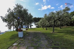 Property grounds - Villa Nella - Holiday Real Estate Point (Marina di San Vito)