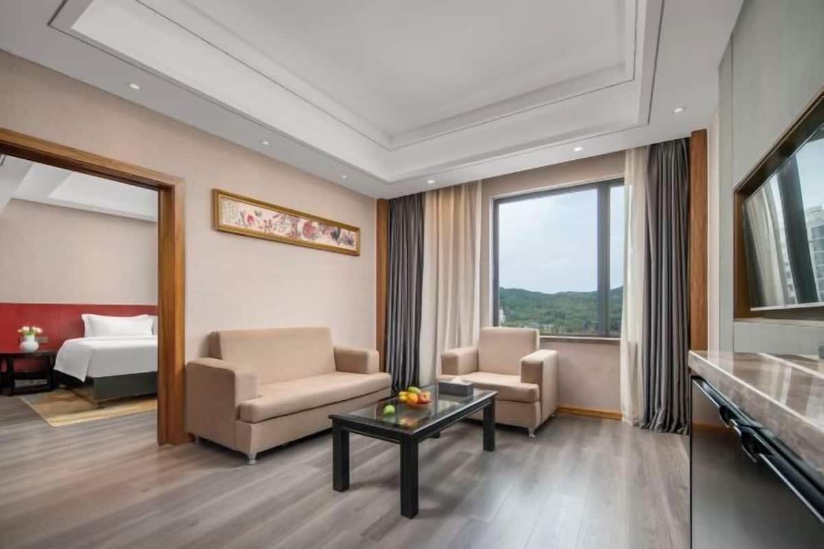 Une chambre d’hôtel avec un lit, deux canapés, une table basse, une télévision et une grande fenêtre.
