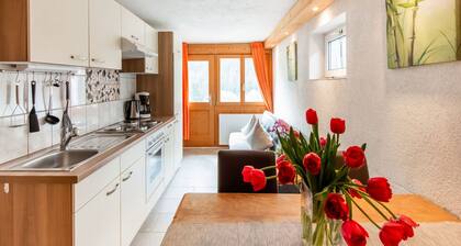 Apartment in Sankt Gallenkirch Near Ski Slopes