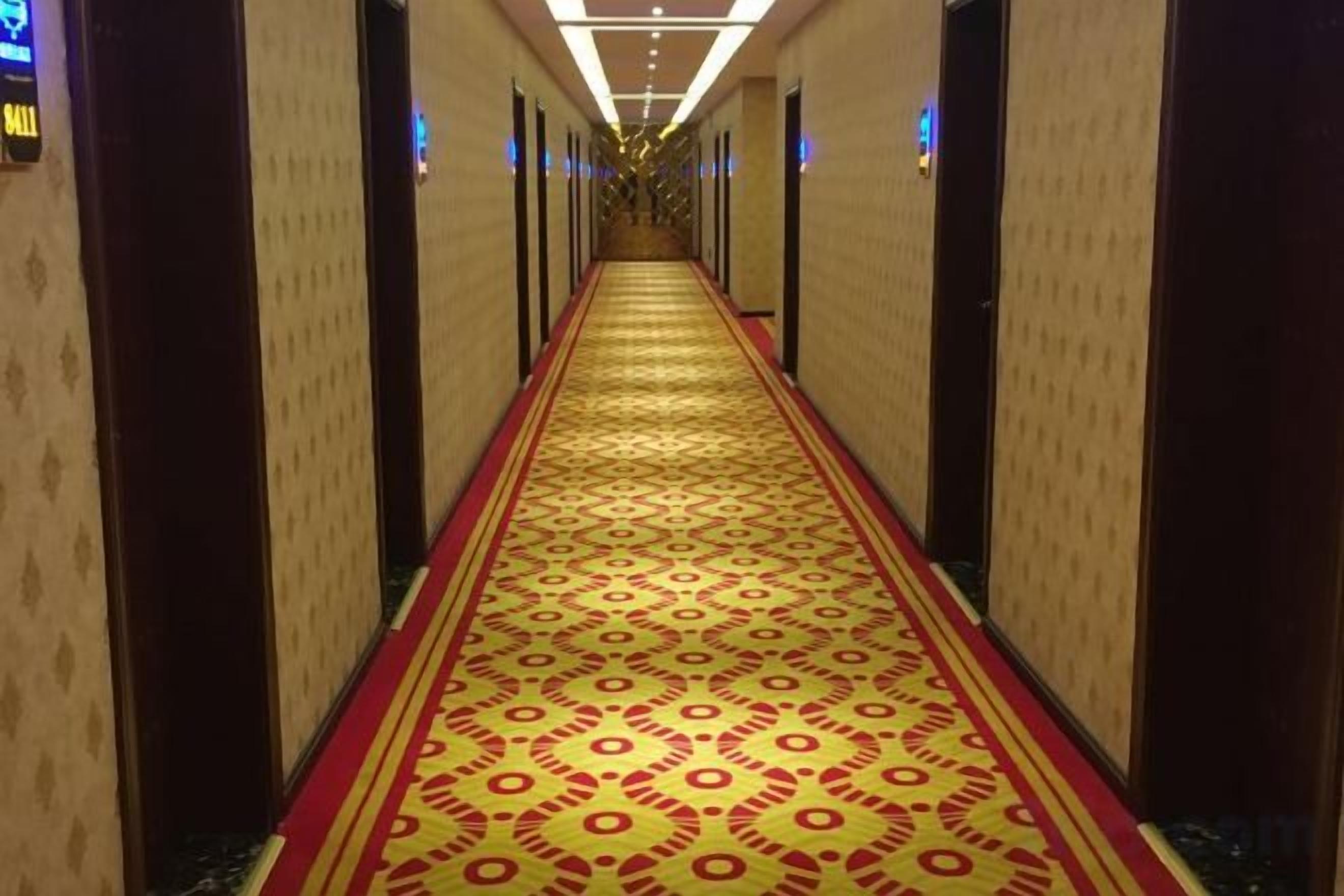 Pasillo de hotel con alfombra estampada, paredes de madera y un largo corredor que lleva a una puerta con la inscripción 'Ball'.