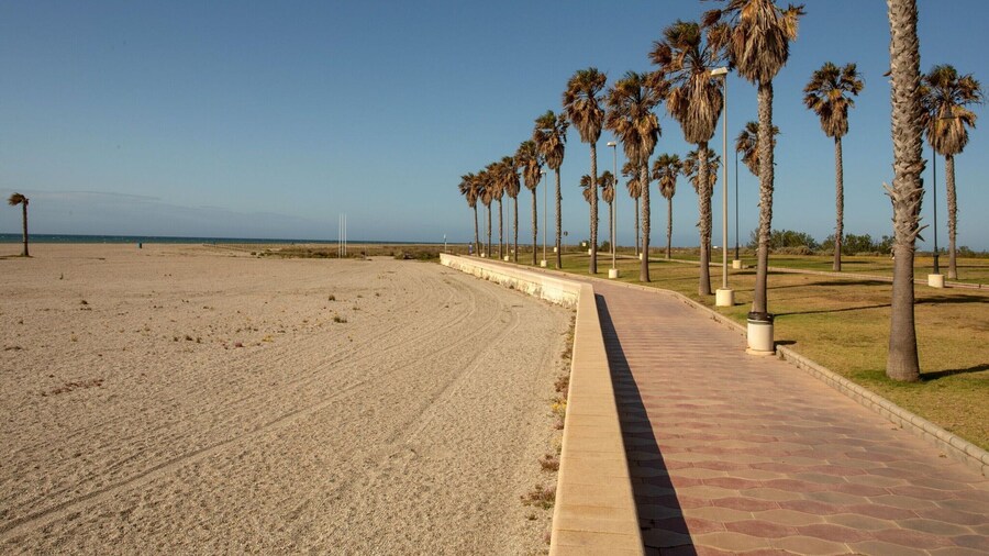 Beachside Apartment With Pool