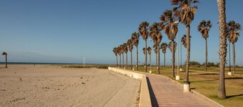 Beachside Apartment With Pool