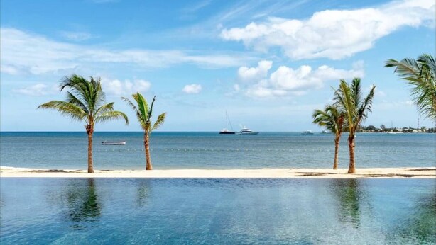 Una piscina cristalina con vistas al océano y palmeras.