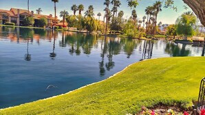 A serene lakeside view with a well-maintained lawn, palm trees, and a clear sky.