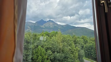 山景