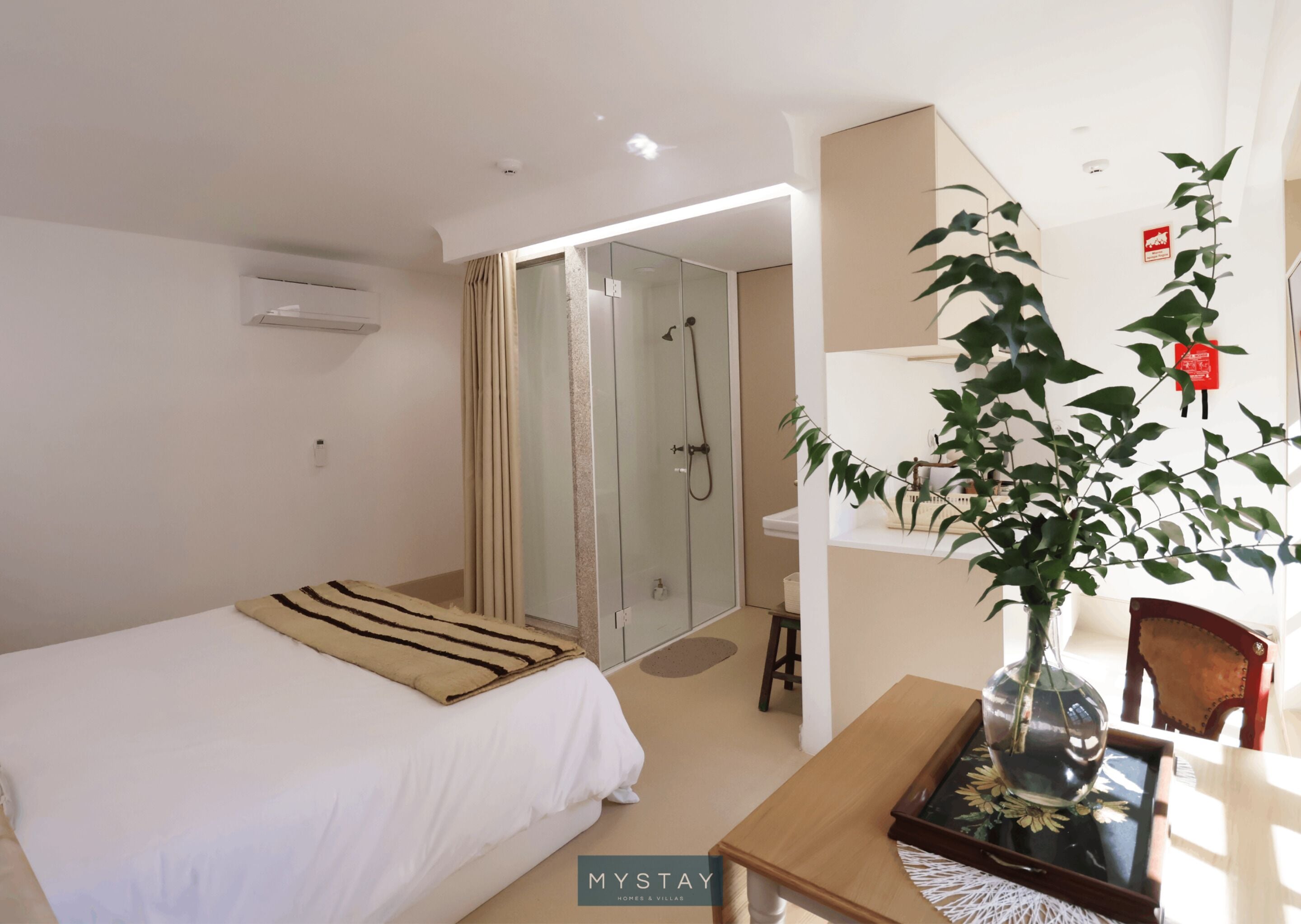 A hotel room with a bed, a bedside table, a small desk, a chair, a potted plant, a shower area, and a mirror.