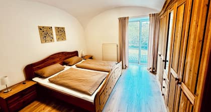 Bauer Wirt`s Zwei-zimmer-wohnung