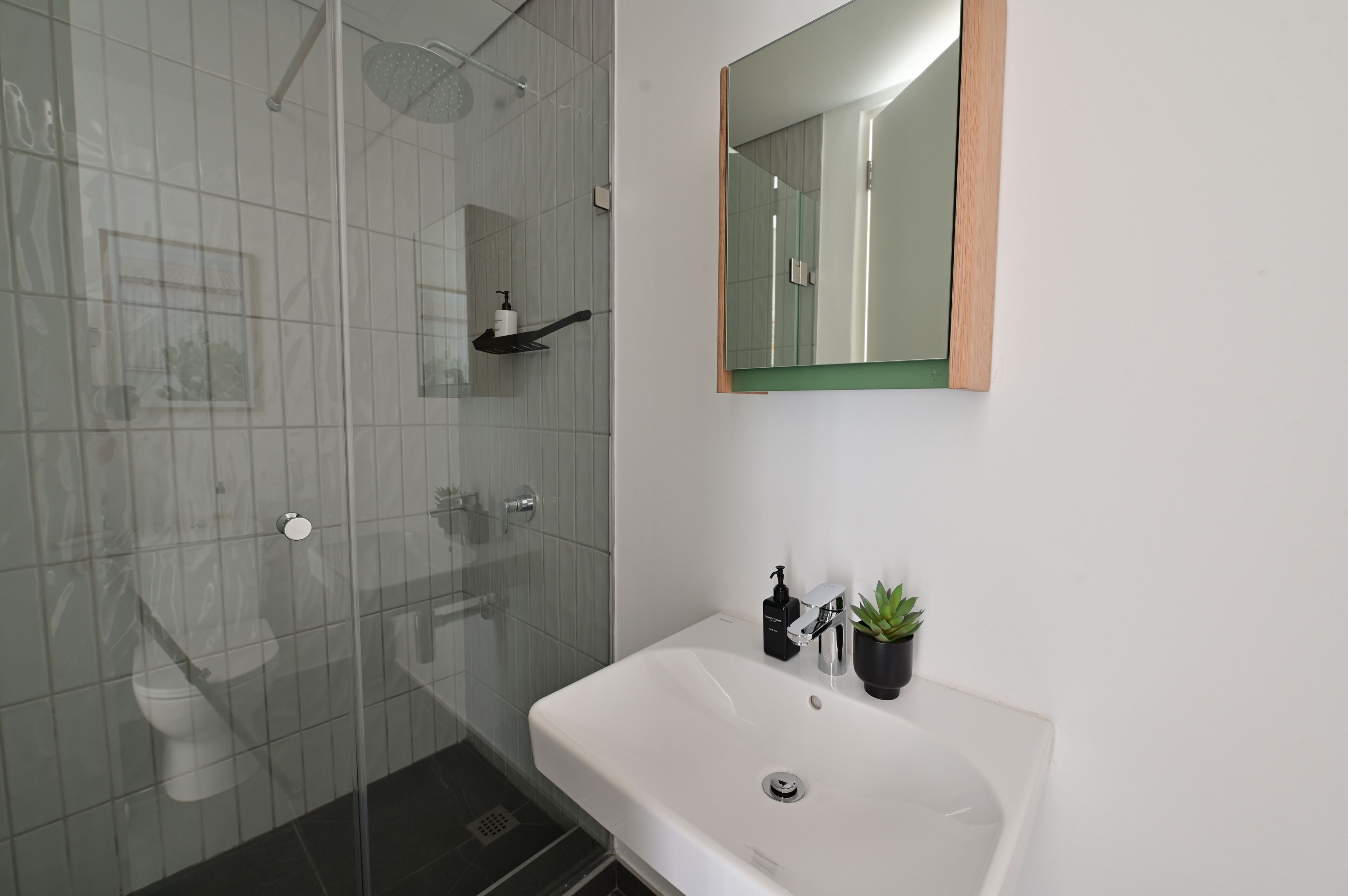 A modern bathroom with a glass shower enclosure, a white sink with a mirror, and a small potted plant.