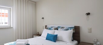 Oliveira Douro House