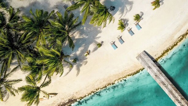 Luchtbeeld van een strand met palmbomen, een houten steiger en blauw gestreepte ligbedden.