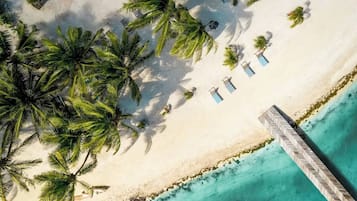 On the beach, sun-loungers