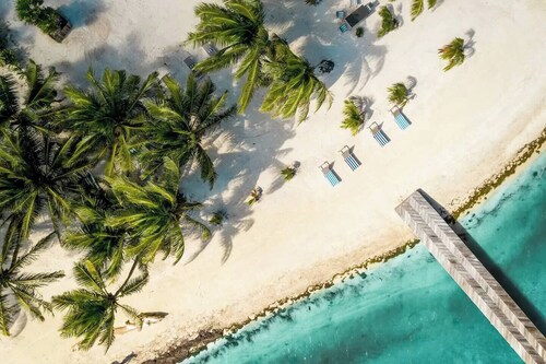 Romantic Private Estate Oasis with Staff by ALOM