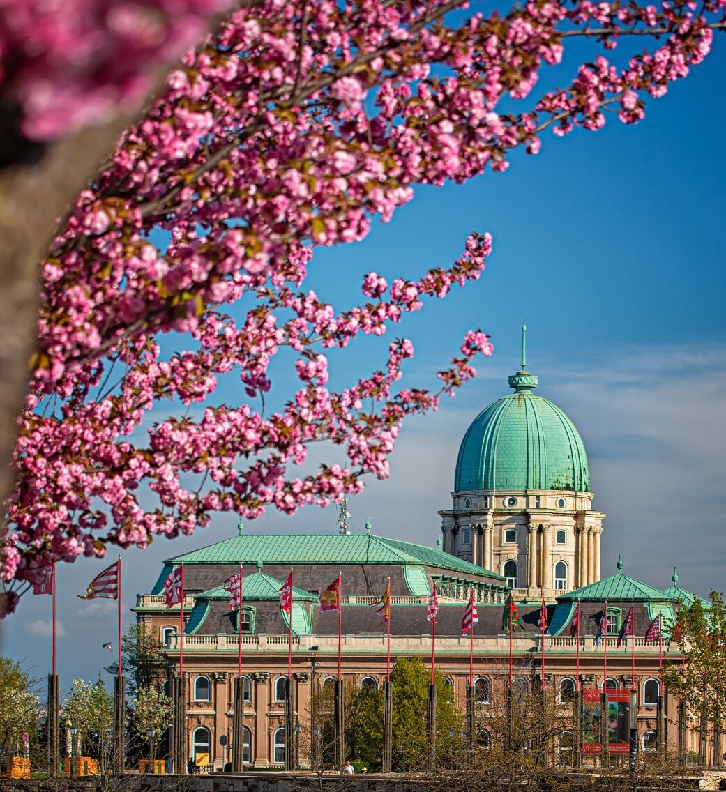 Foto - Carlton Hotel Buda Castle