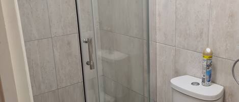 A bathroom with a glass-enclosed shower, a toilet, and a sink.