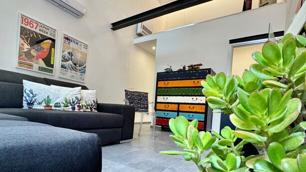 Un salon moderne avec un canapé noir, une grande plante verte et un meuble de rangement aux couleurs vives.