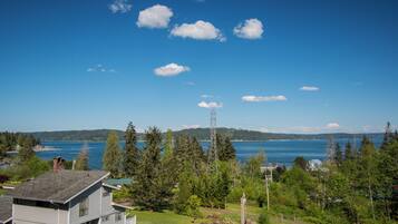 A residential area with a house, a dock, and a clear view of a large body of water.