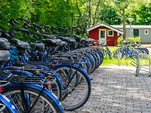 Exterior - Chalet With Terrace Near Amsterdam (Amstelveen)