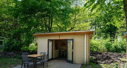 Chalet With Terrace Near Amsterdam