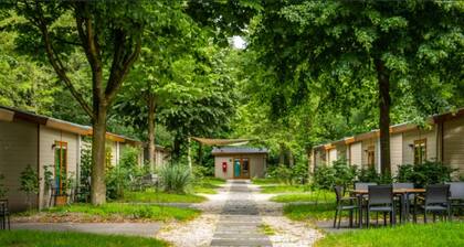 Chalet With Terrace Near Amsterdam