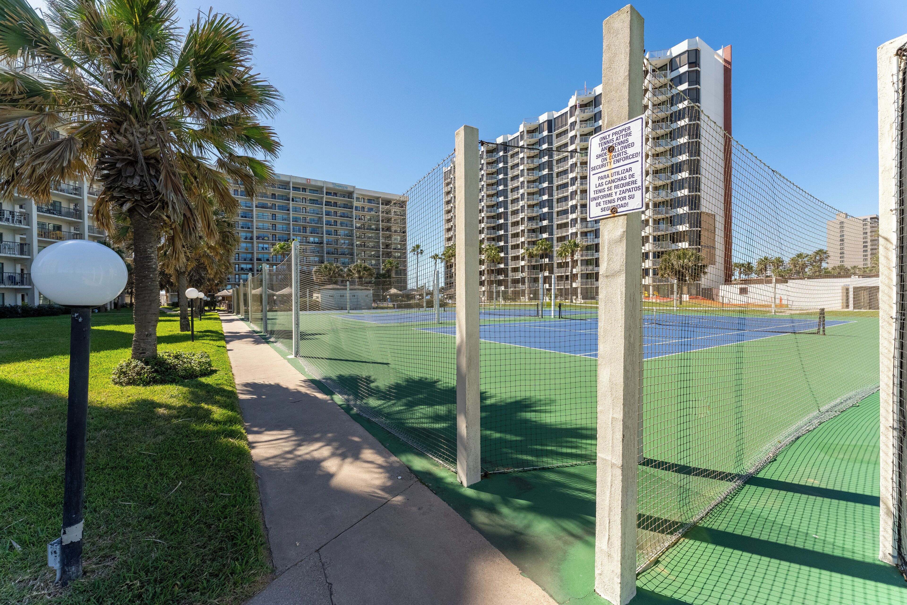 Una pista de tennis amb xarxes, envoltada de palmeres i un camí.