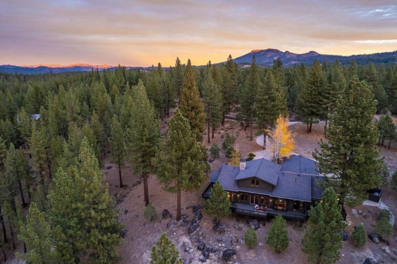 Un chalet entouré d’une forêt dense, avec une montagne en arrière-plan.
