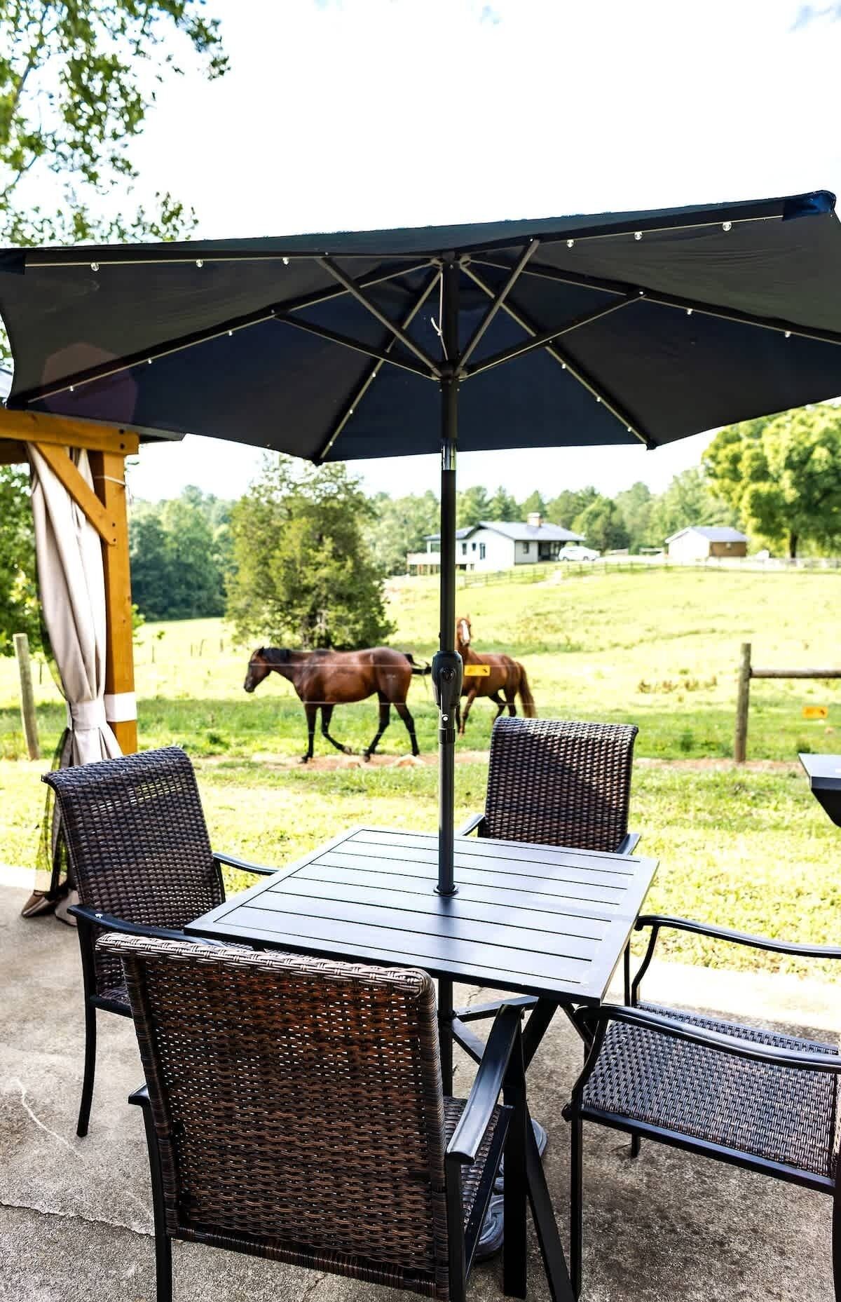 An outdoor patio with a table and four wicker chairs under a large umbrella.