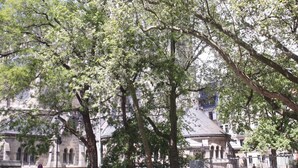 A historic building with a central tower and surrounding trees. - Apartment-Ensuite with Bath-City view (Leipzig)