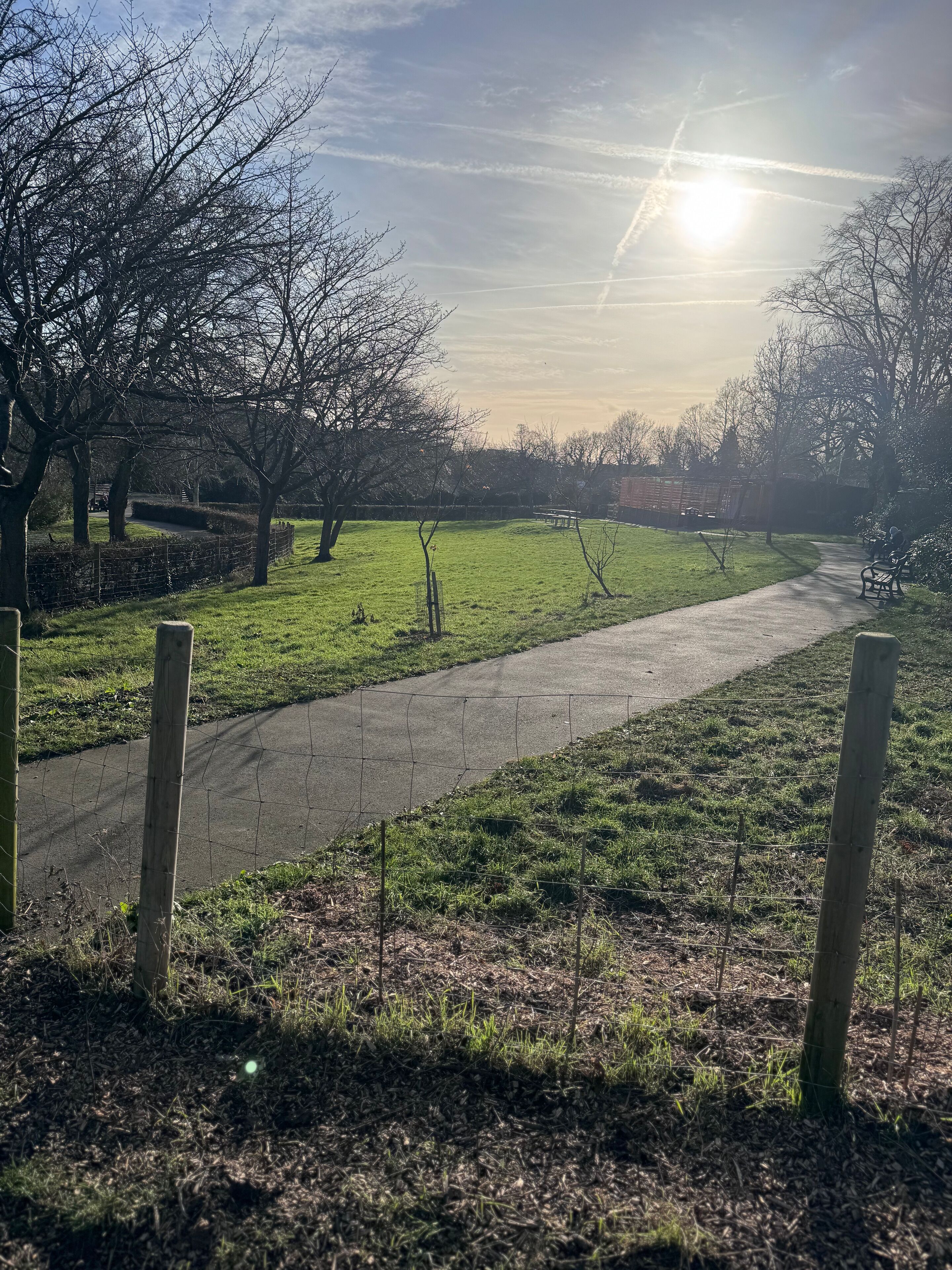 A paved pathway in a park with trees and a fence.